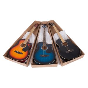 acoustic-electric-bass-electric